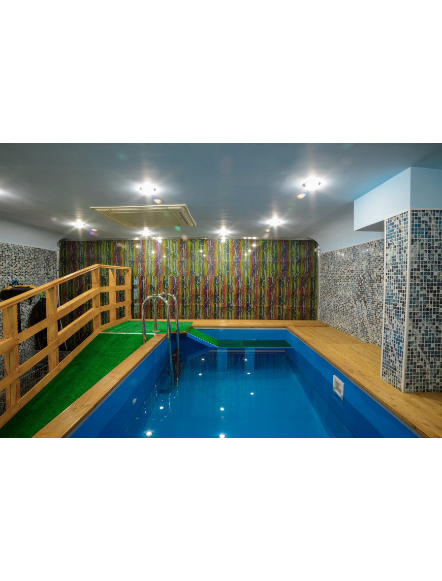 бассейн 5,5*3,0*1,5м (д*ш*г) т-8 мм. для собак